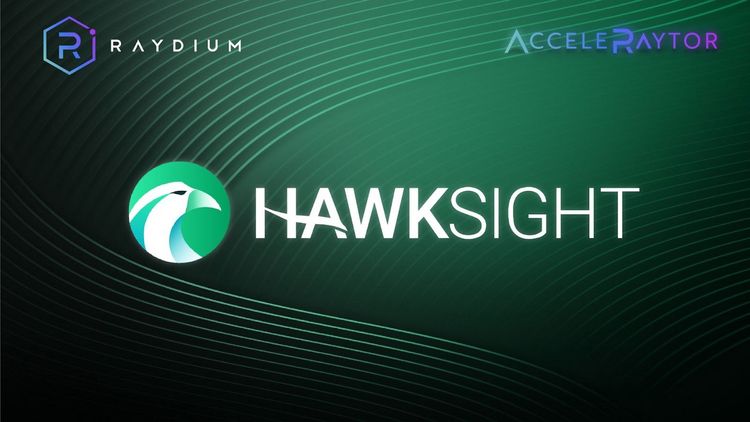 Hawksight is Launching on AcceleRaytor