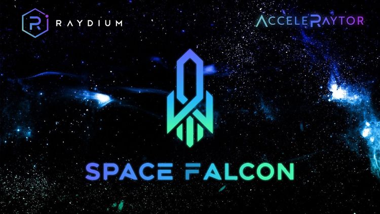 Space Falcon is Launching on AcceleRaytor